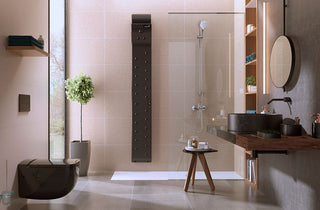 Throw in the towel and get a body dryer